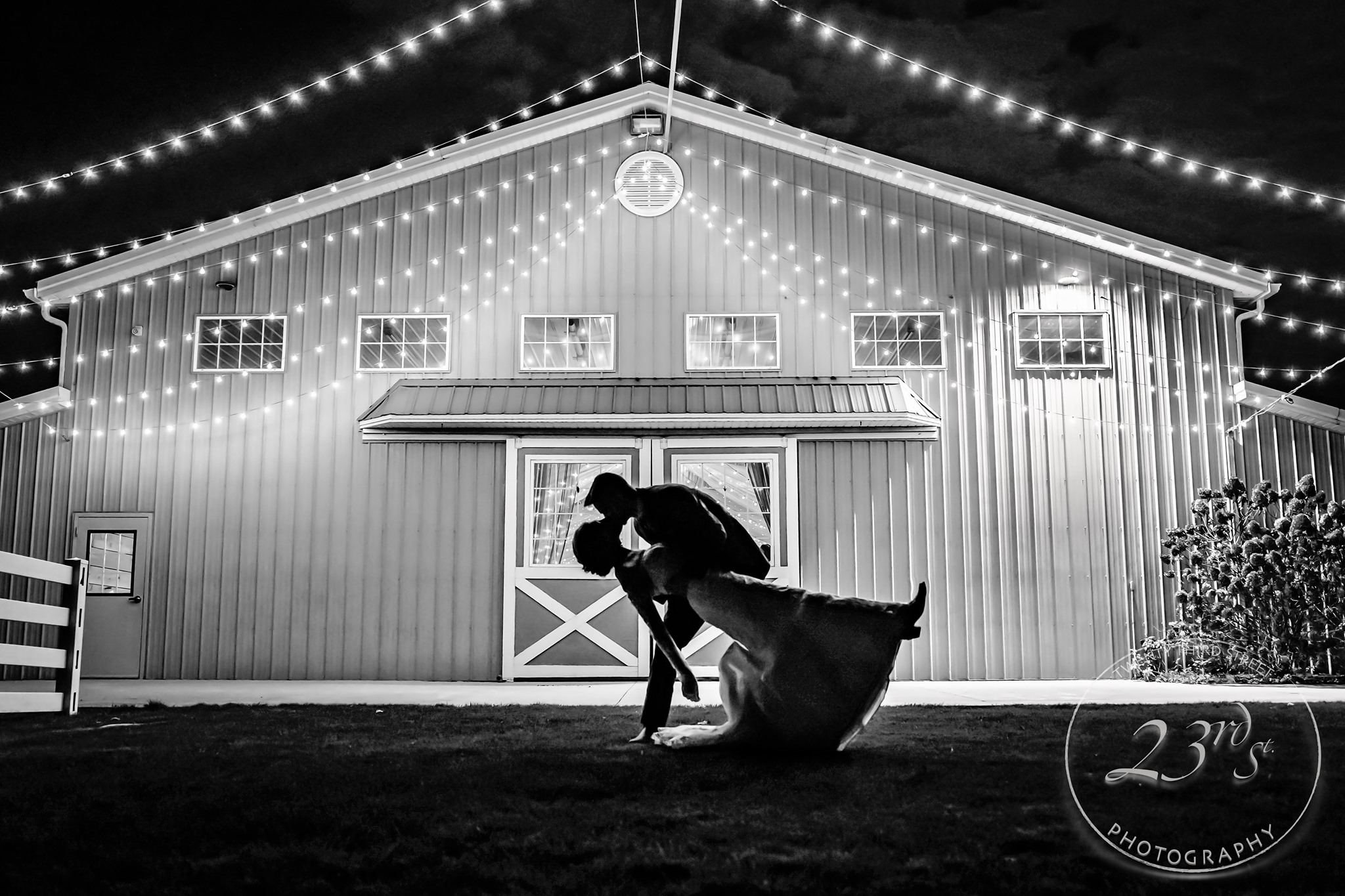 75550481_2359070261009952_7455967864697126912_n