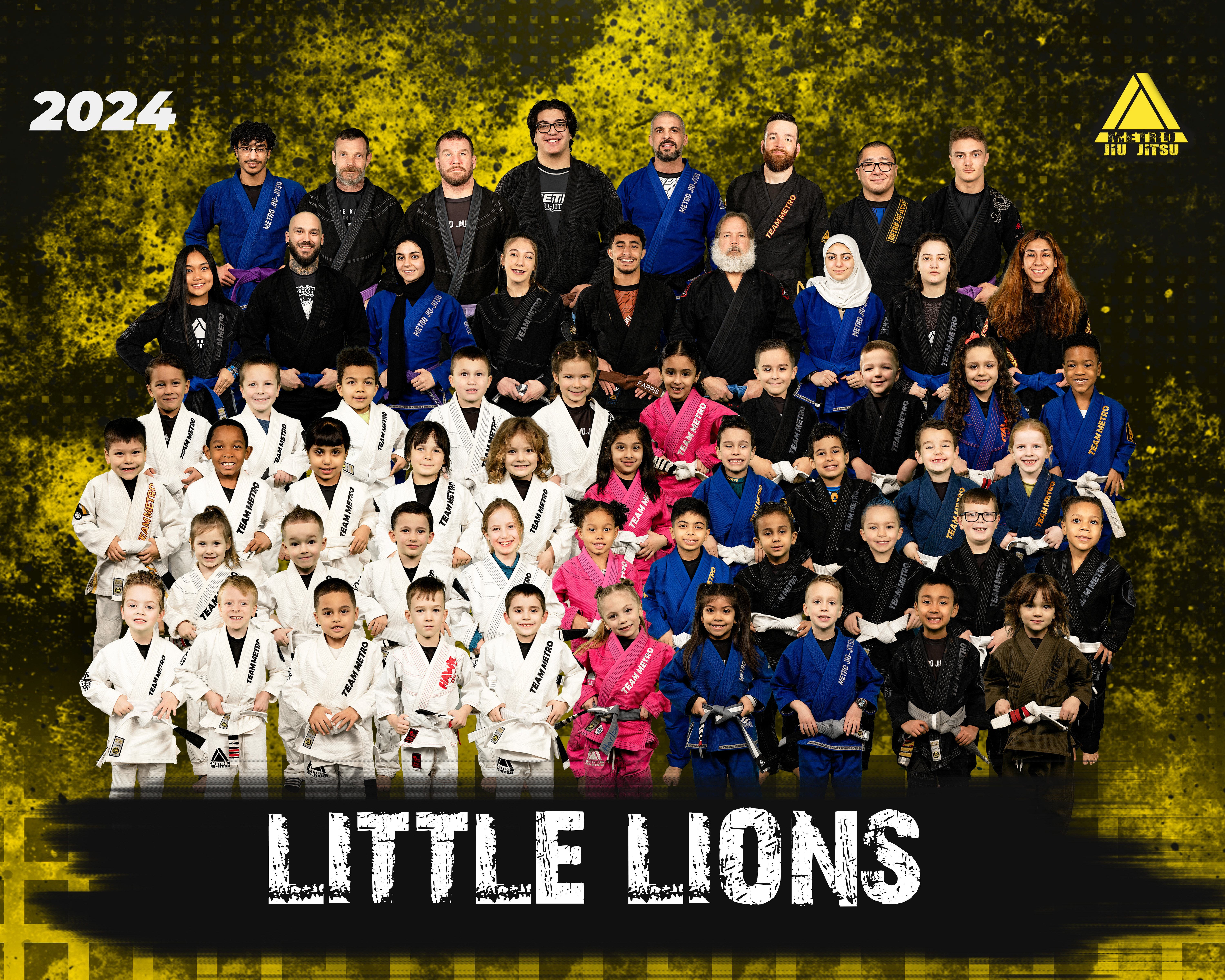 TeamLittleLions